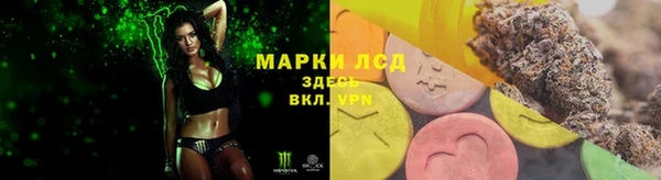 хмурый Алексеевка