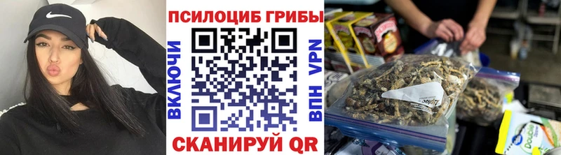 купить сайты Оса Галлюциногенные грибы Cubensis